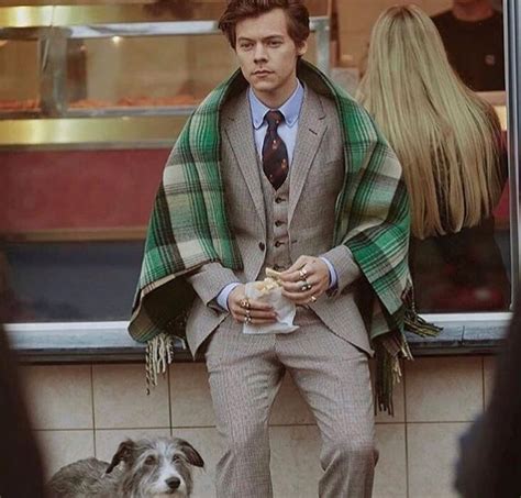 harry styles gucci tailoring|Harry Styles Gucci model.